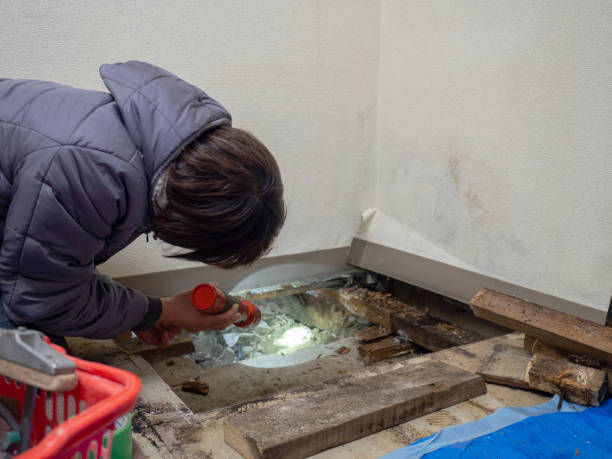Best Real Estate Mold Inspection  in Cottonwood, AL