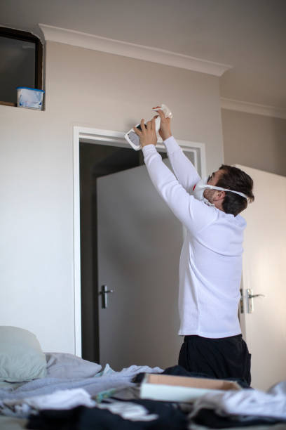Best Black Mold Removal  in Cottonwood, AL