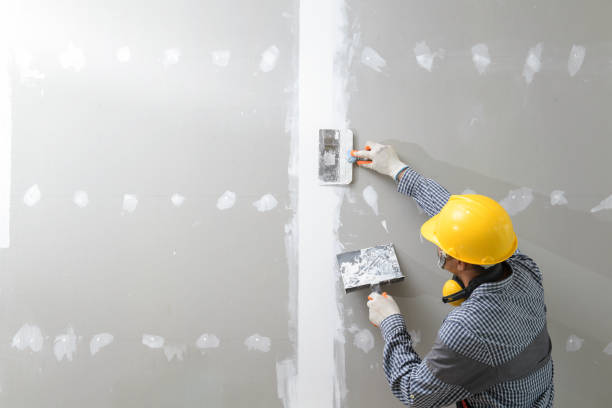 Best Crawl Space Mold Remediation  in Cottonwood, AL