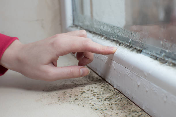 Best Airborne Mold Testing  in Cottonwood, AL