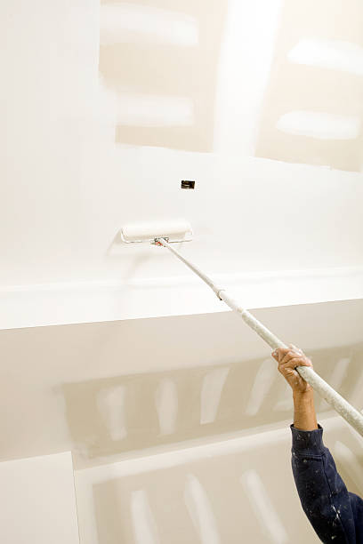 Best Post-Construction Mold Inspection  in Cottonwood, AL