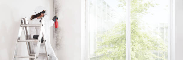 Best HVAC Mold Inspection and Cleaning  in Cottonwood, AL
