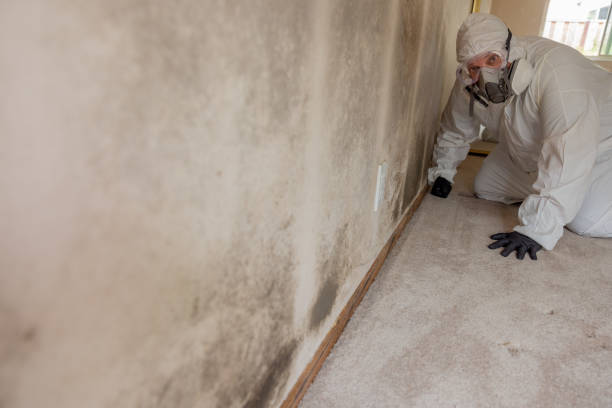 Best Commercial Mold Inspection  in Cottonwood, AL