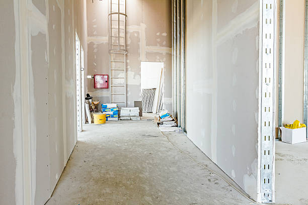 Best Industrial Mold Remediation  in Cottonwood, AL